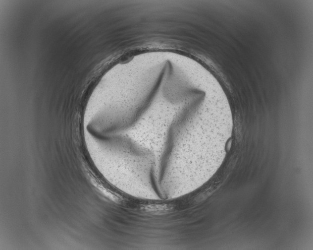 X0000080710445200701121822