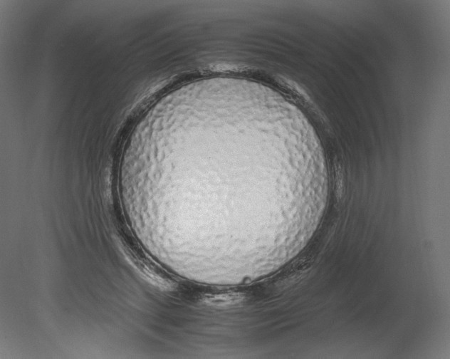 X0000080710447200701121822