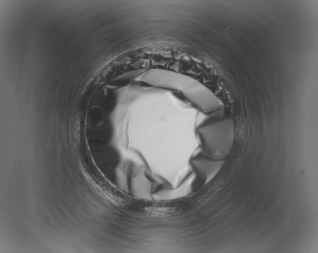 X0000080710448200701121822