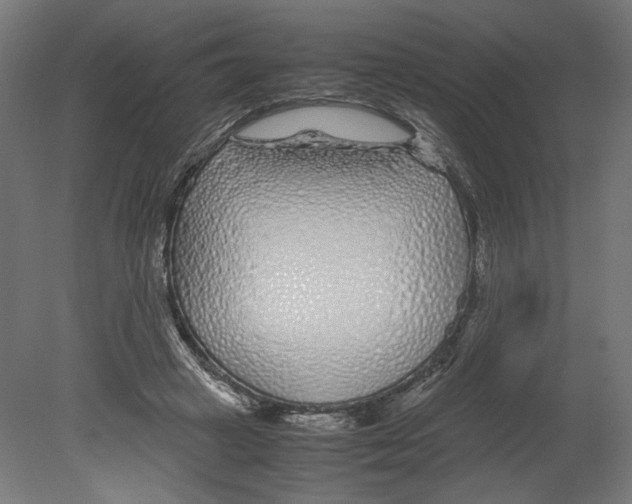 X0000080710449200701121822