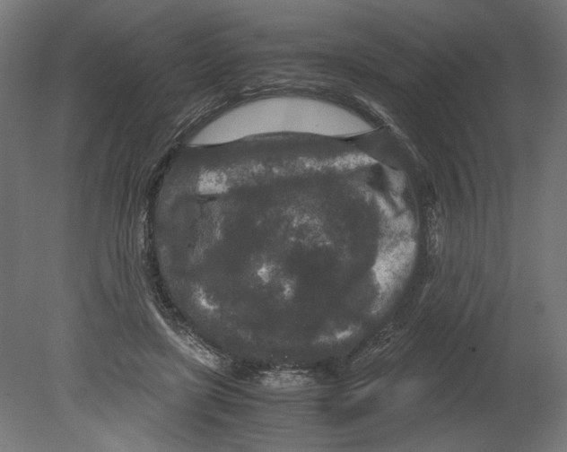 X0000080710451200701121822