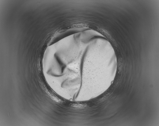 X0000080710453200701121822