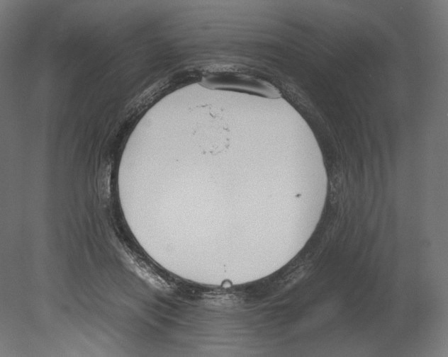 X0000080710454200701121822