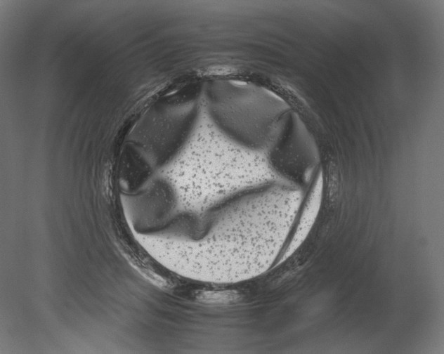 X0000080710455200701121822