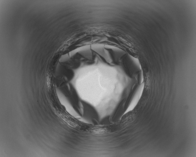 X0000080710456200701121822