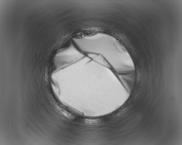 X0000080710457200701121822