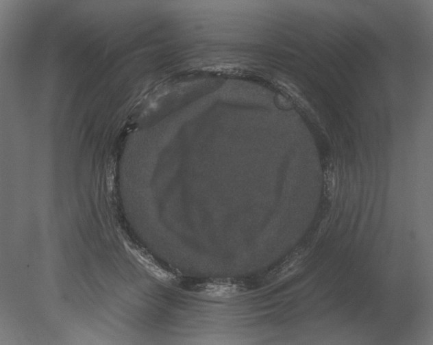 X0000080710458200701121822