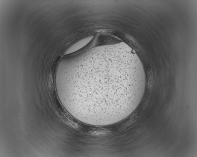 X0000080710459200701121822