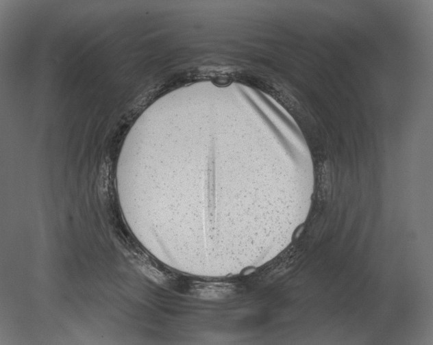 X0000080710463200701121822