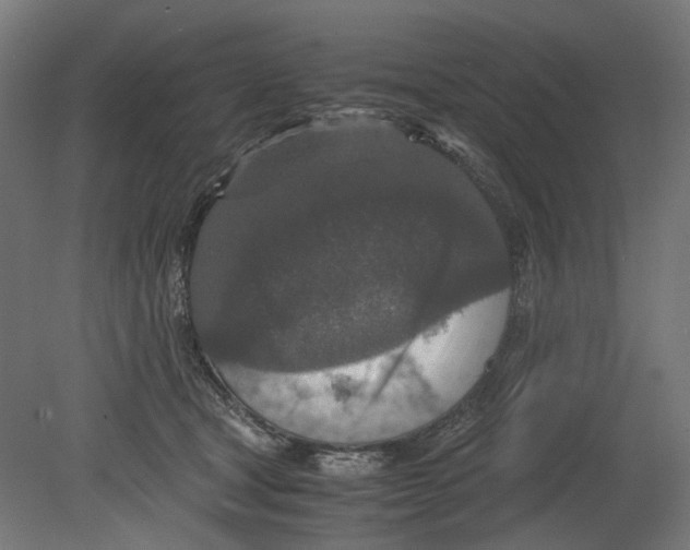 X0000080710465200701121822