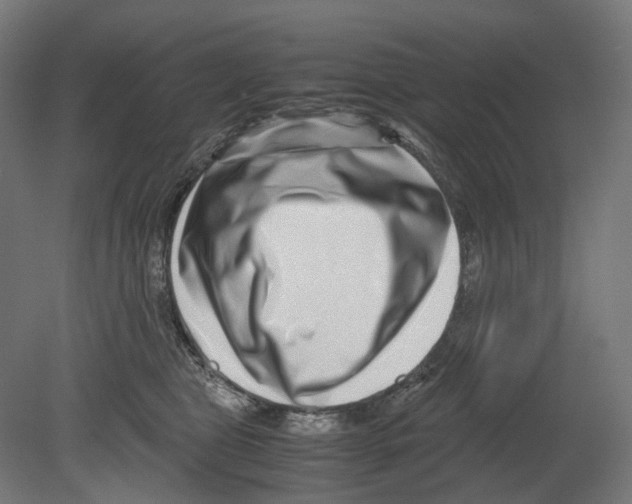 X0000080710469200701121822