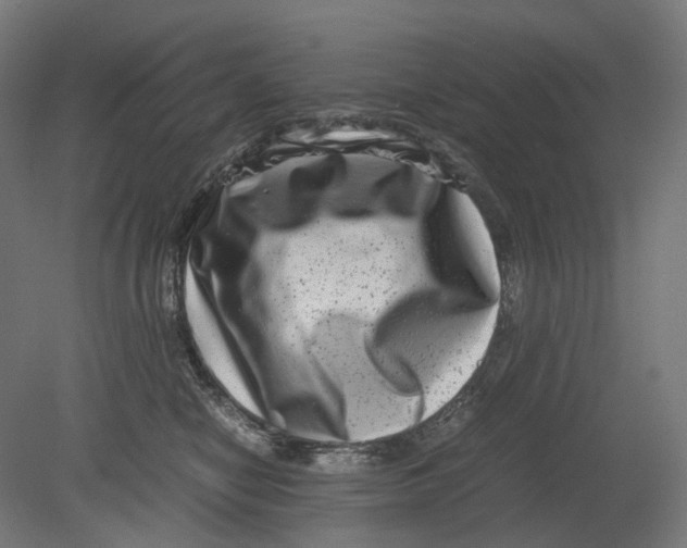 X0000080710470200701121822