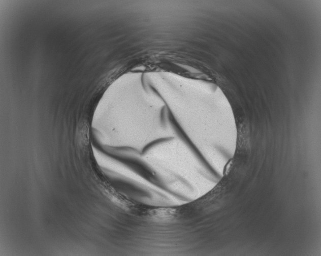 X0000080710474200701121822