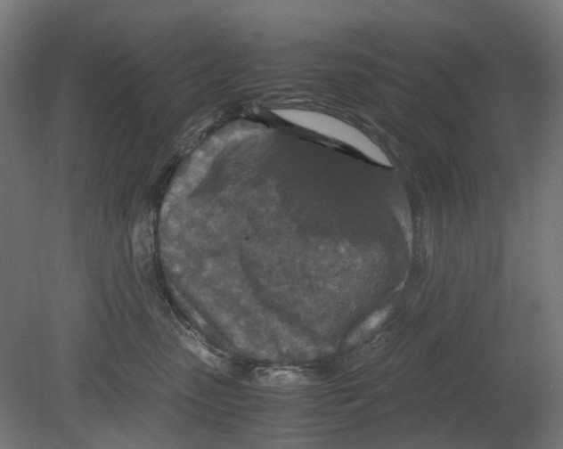 X0000080710475200701121822