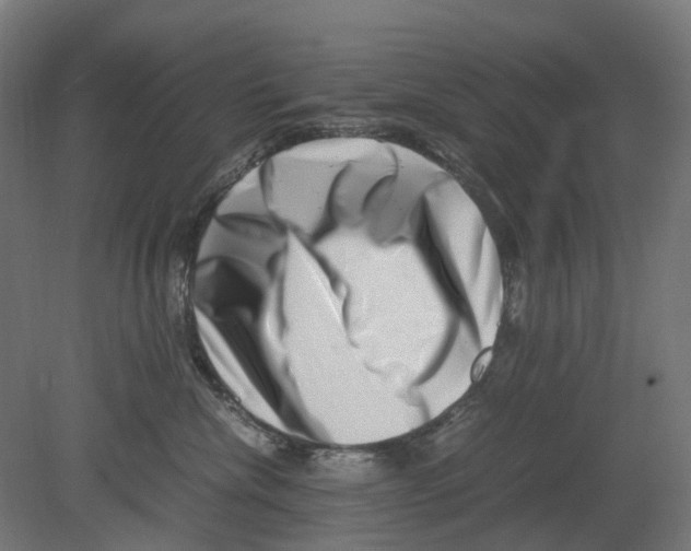 X0000080710476200701121822