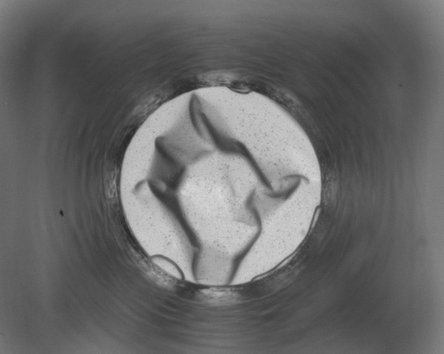 X0000080710477200701121822