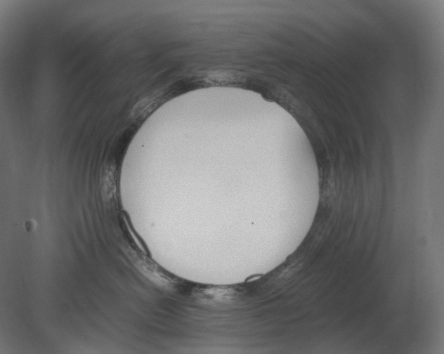 X0000080710478200701121822