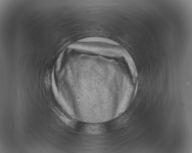 X0000080710479200701121822