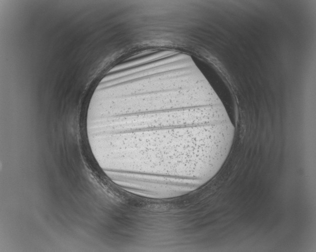 X0000080710482200701121821