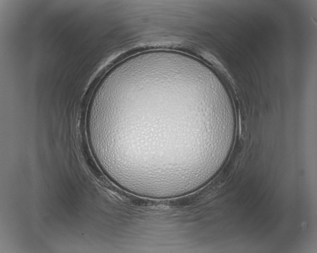 X0000080710483200701121821