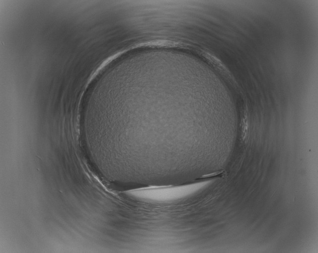 X0000080710484200701121821