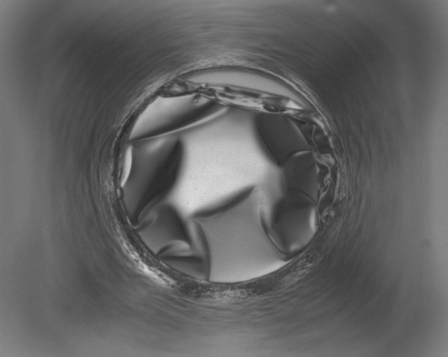 X0000080710485200701121821