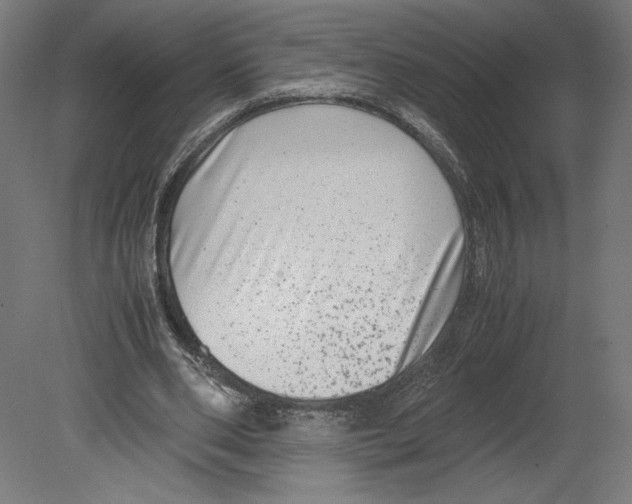 X0000080710486200701121821