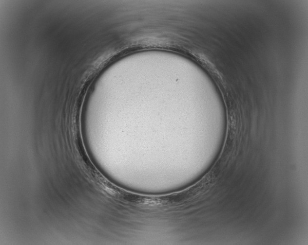 X0000080710487200701121821