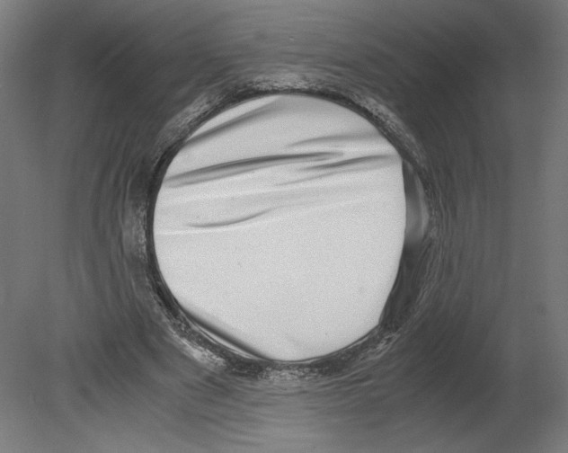 X0000080710489200701121821