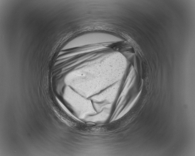 X0000080710493200701121821