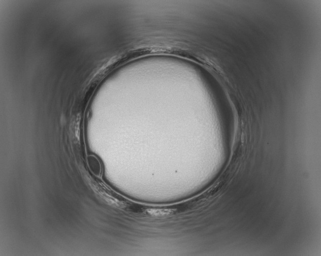 X0000080710495200701121821