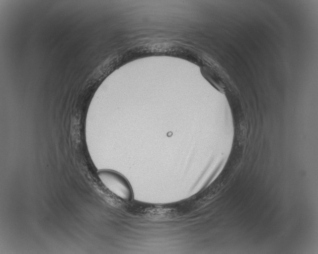 X0000080710497200701121821