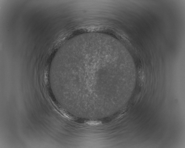 X0000080710499200701121821