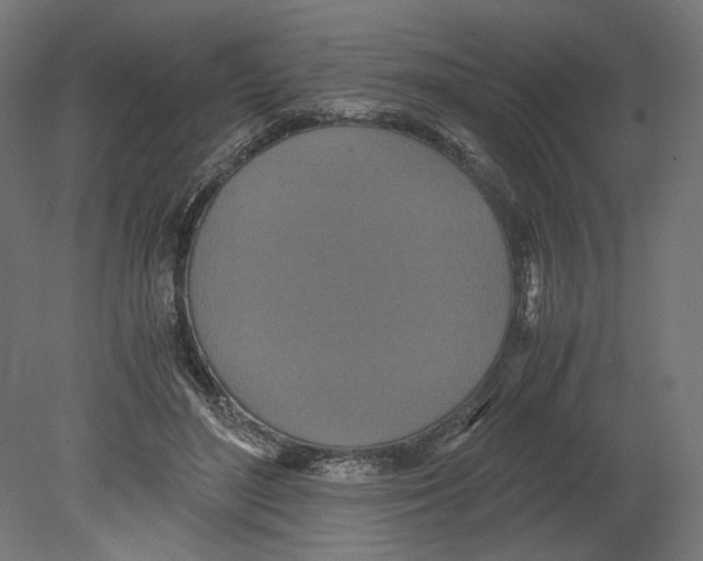 X0000080710500200701121821