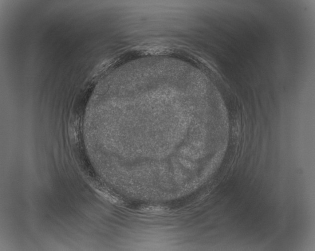 X0000080710503200701121821