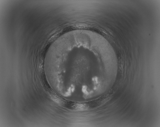 X0000080710507200701121821