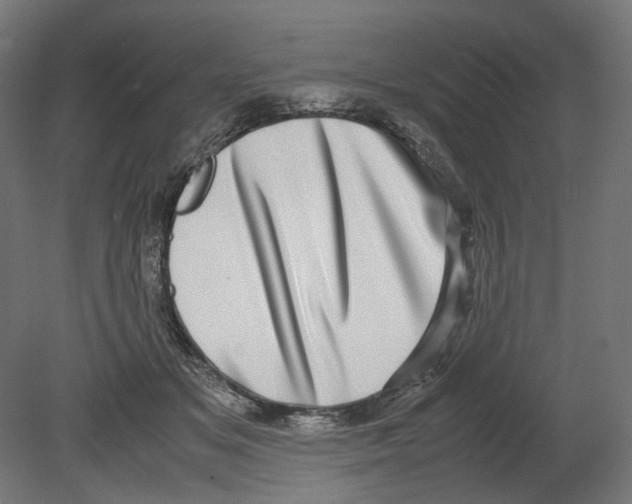 X0000080710509200701121821