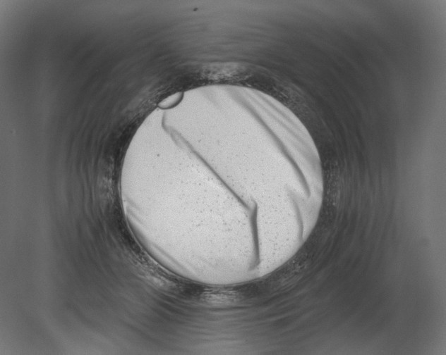 X0000080710510200701121821