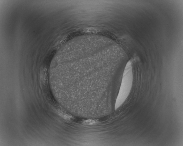 X0000080710511200701121821