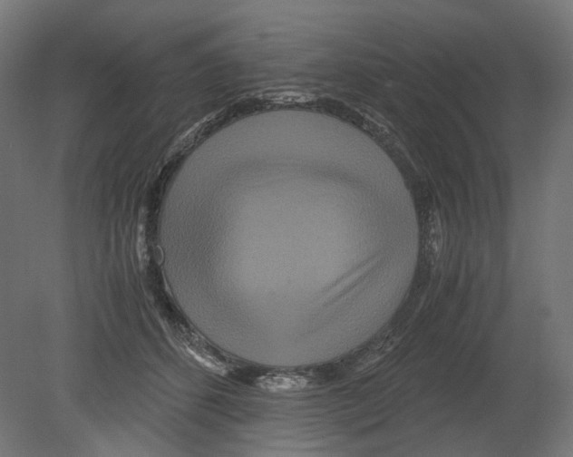 X0000080710512200701121821