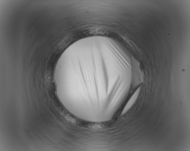 X0000080710513200701121821