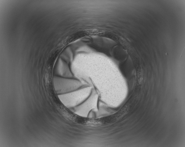 X0000080710515200701121821