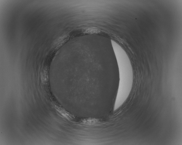 X0000080710517200701121821