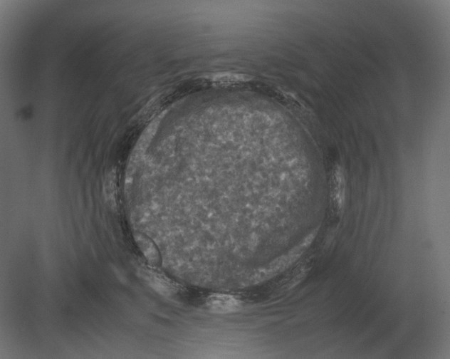 X0000080710519200701121821