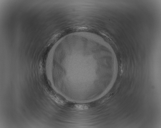 X0000080710520200701121821