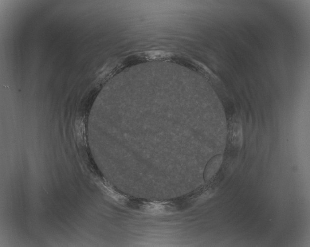 X0000080710523200701121821