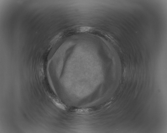 X0000080710524200701121821