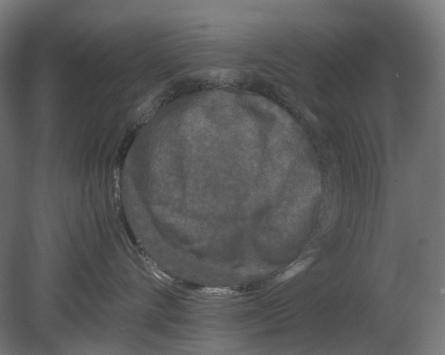 X0000080710528200701121821