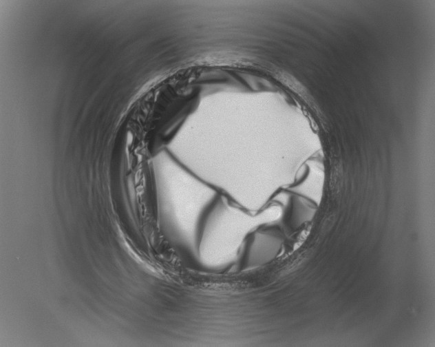 X0000080710530200701121820