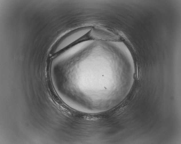 X0000080710531200701121820